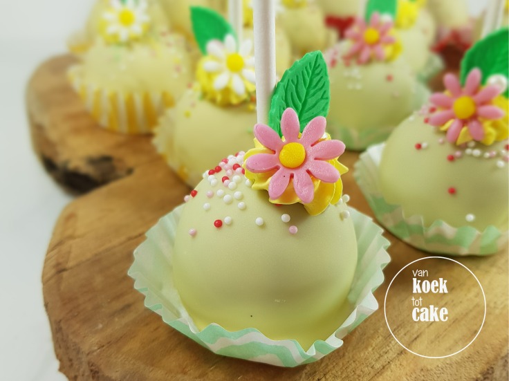 Maya de Bij kindertaart verjaardagstaart cupcakes en cakepops | Bestellen Zeeland Vlissingen Middelburg Oost-Souburg