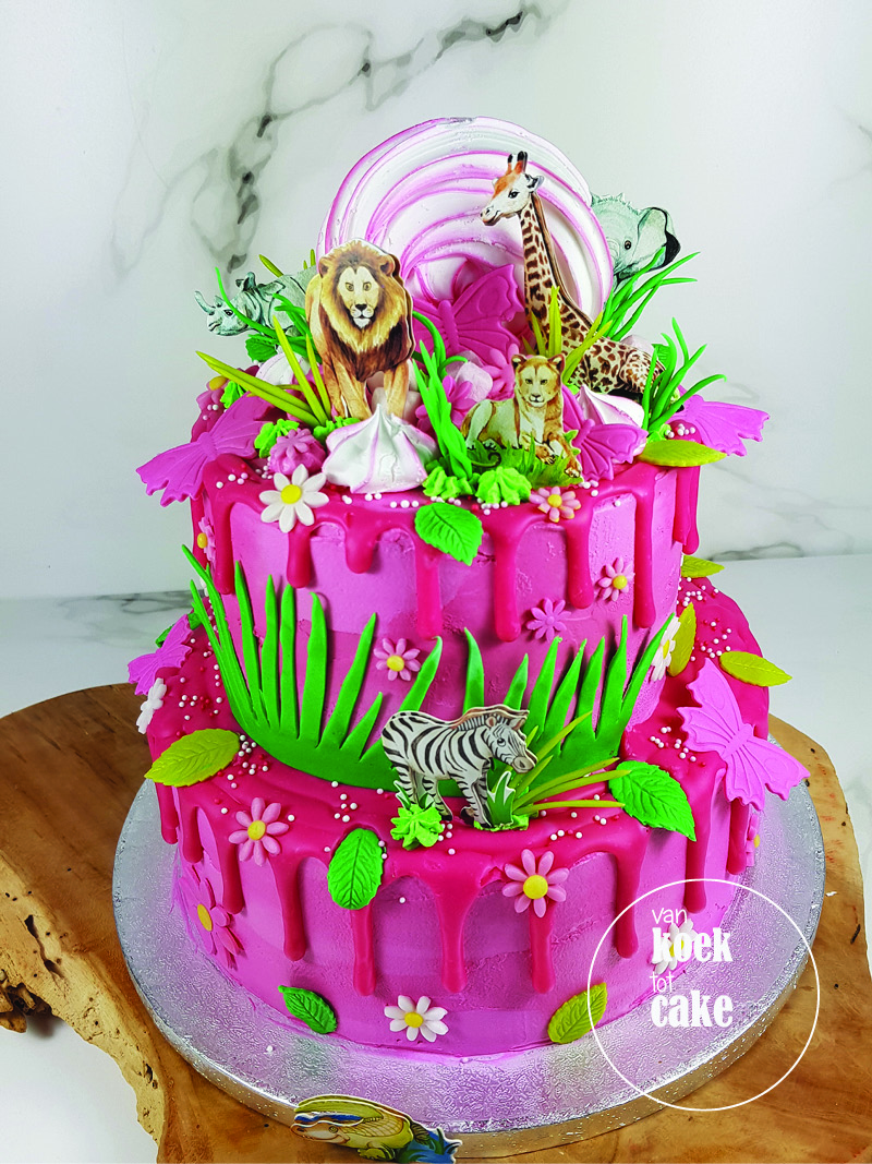 Dierentuintaart roze drip cake verjaardagstaart | Bestellen Zeeland Walcheren Middelburg Vlissingen Oost-Souburg